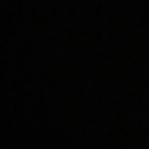 Meet your Posher, Gavin